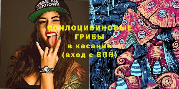 спайс Алексин