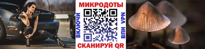 mega зеркало  Удомля  нарко площадка Telegram  Галлюциногенные грибы прущие грибы 