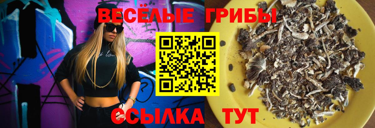 Псилоцибиновые грибы Psilocybe  Вход с VPN  Удомля  Галлюциногенные грибы Cubensis 