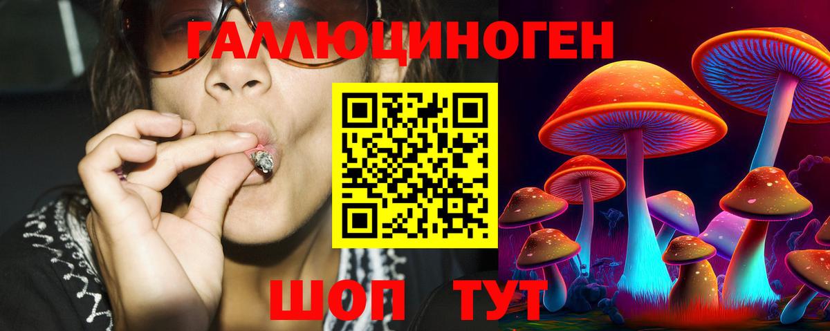 Удомля  Псилоцибиновые грибы Psilocybine cubensis  закладка  Вход с VPN 