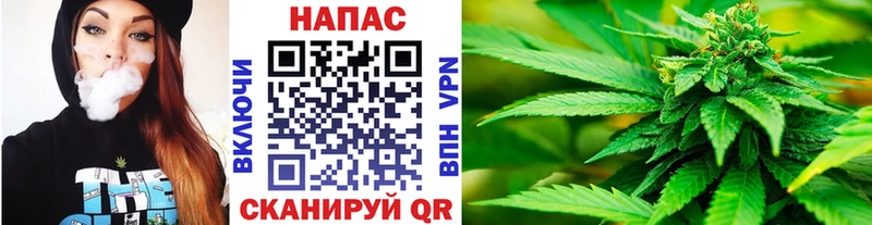 Бошки Шишки AK-47  ОМГ ОМГ ТОР  Удомля 